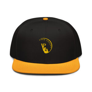 snapback hat
